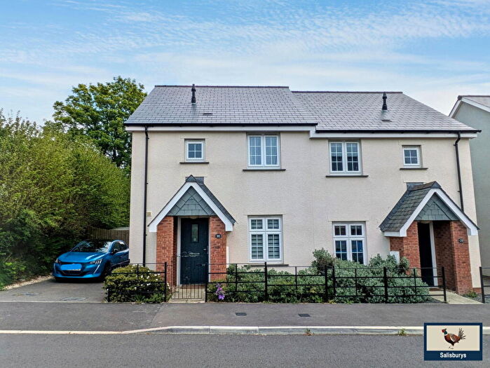 3 Bedroom Semi-Detached House For Sale In Honeysuckle Drive, Tavistock, PL19