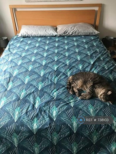 1 Bedroom Flat To Rent In Linden Crescent, Folkestone, CT19