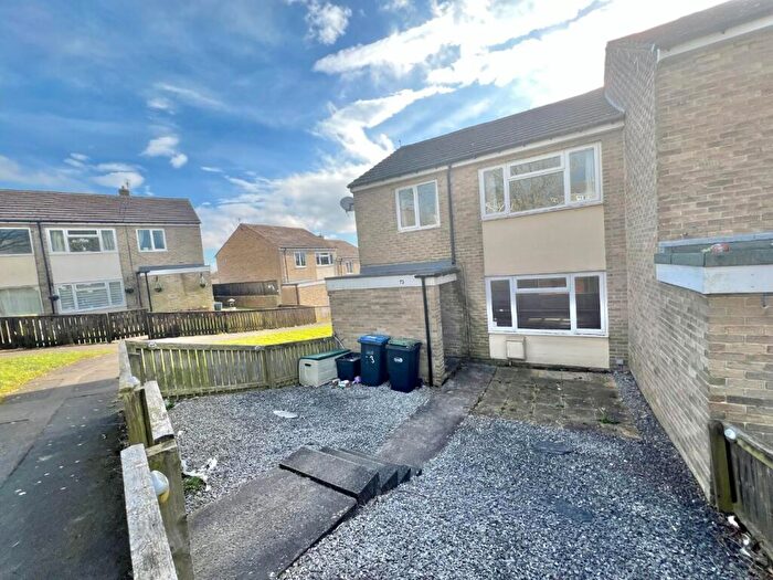 3 Bedroom End Of Terrace House For Sale In Stanley Way, Billy Row, DL15