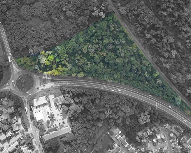 Land For Sale In The Carr, Acle, NR13