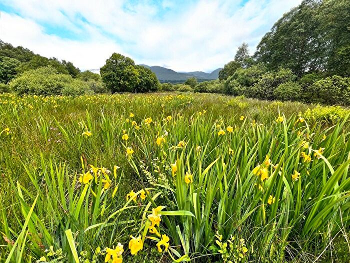 Farm Land For Sale In Tromlee Woodlands Farm, Ballimore Estate, Kilchrenan, By Taynuilt, PA35