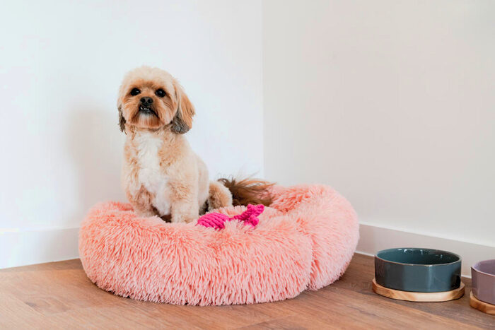 Studio To Rent In Silvertown Way, London, E16