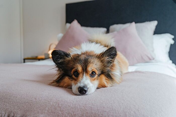 1 Bedroom Flat To Rent In Greenford, UB6