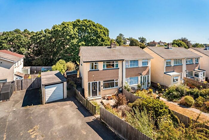 3 Bedroom Semi-Detached House For Sale In Barton Drive, Newton Abbot, TQ12