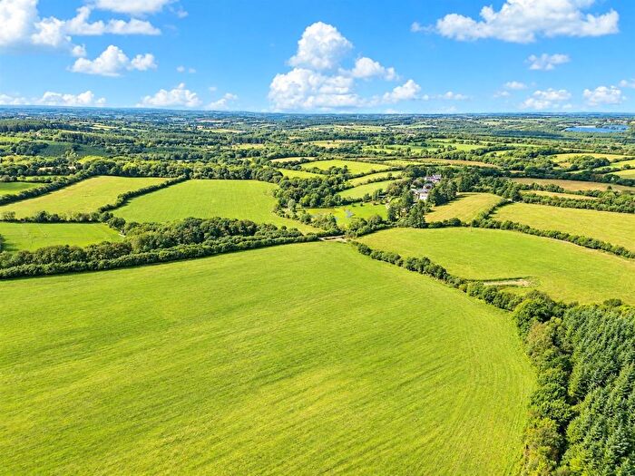 Land For Sale In Ashwater, Beaworthy - Devon, EX21