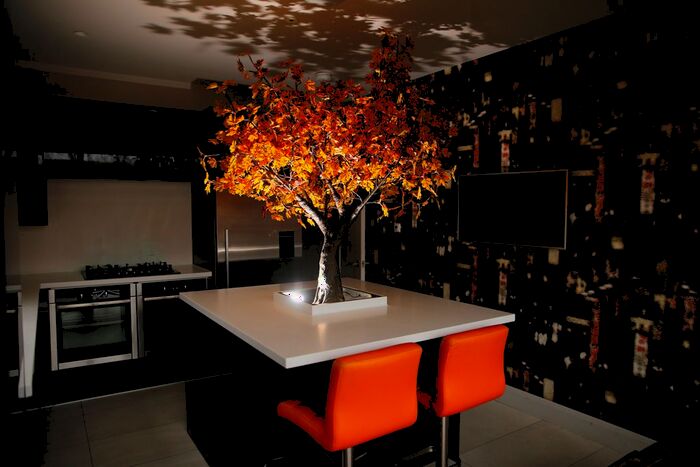 3 Bedroom Terraced House To Rent In Renmuir Street, Tooting Graveney, SW17