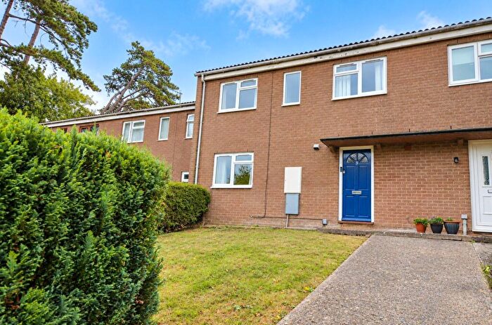 3 Bedroom Terraced House To Rent In Elmfield Road, Bristol, Somerset, BS9