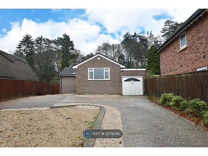 3 Bedroom Bungalow To Rent In Lonnen Road, Wimborne, BH21