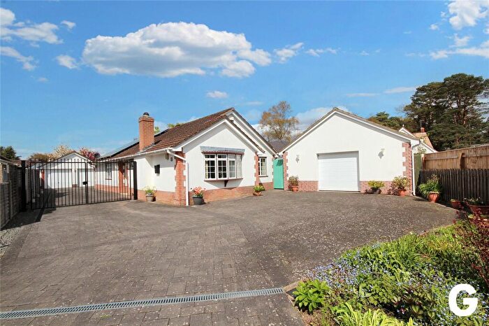 3 Bedroom Bungalow For Sale In Lions Wood, St. Leonards, Ringwood, Hampshire, BH24