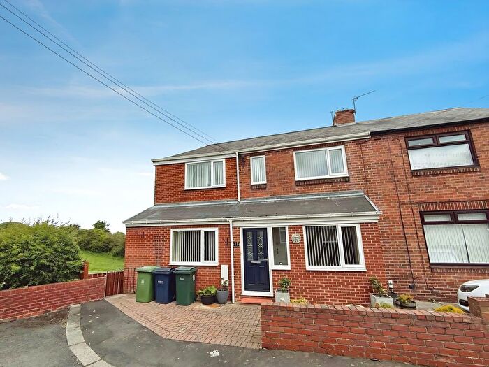 3 Bedroom Semi-Detached House For Sale In John Avenue, Greenside, NE40