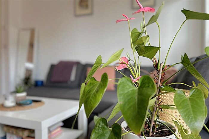 1 Bedroom Flat To Rent In Southampton, SO14