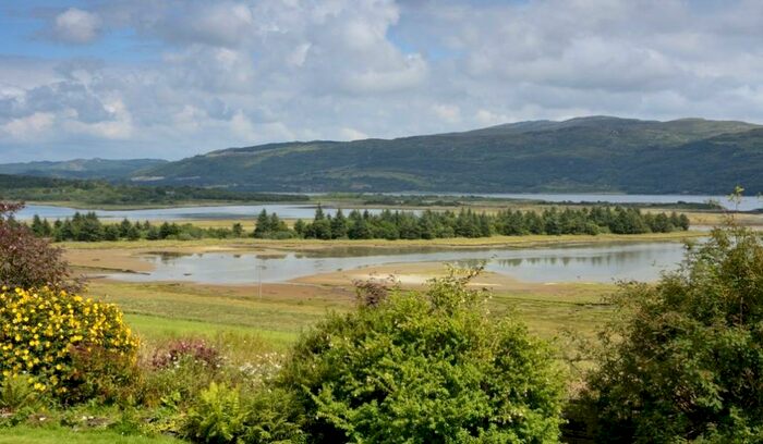 Land For Sale In (Lot : Tayvallich Estate), Tayvallich, Lochgilphead, Argyll, PA31