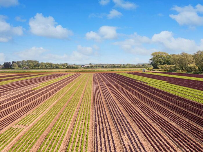 Land For Sale In Liverpool Road, Tarleton, Preston, PR4