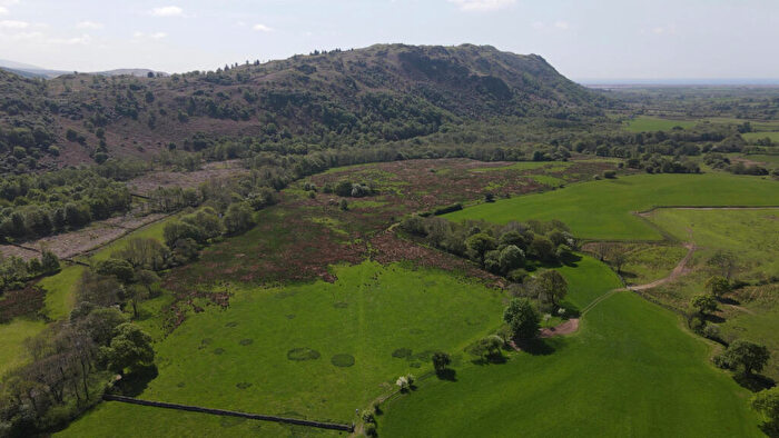 Land For Sale In Approx. . Acres (ha) Of Agricultural Land At Eskdale, Holmrook, CA19