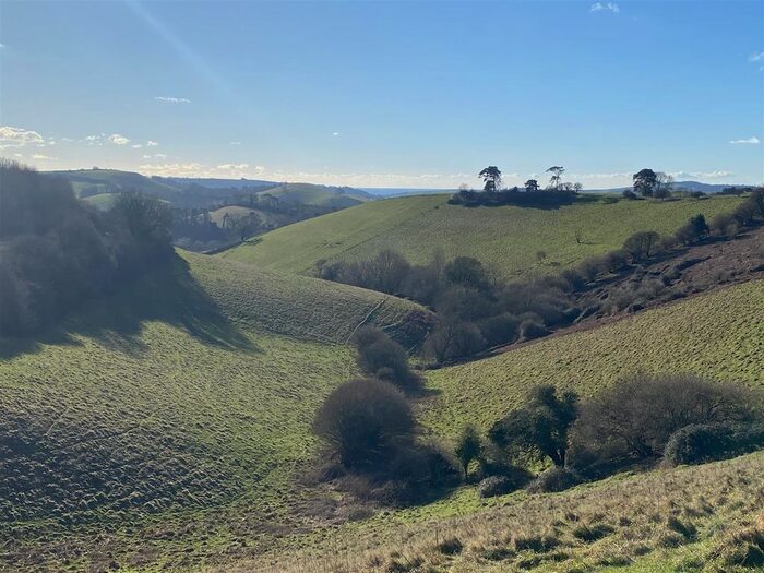 Land For Sale In West Milton, Bridport, DT6