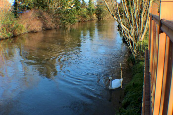 2 Bedroom Flat To Rent In Catteshall Lane, Godalming, GU7