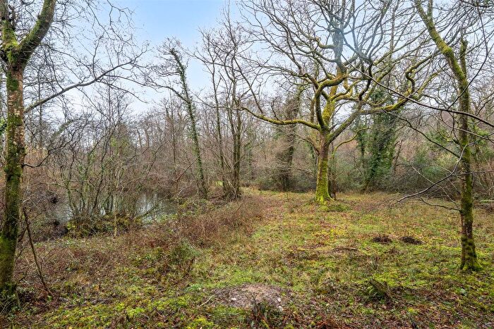 Land For Sale In Hawkchurch, Axminster, Devon, EX13