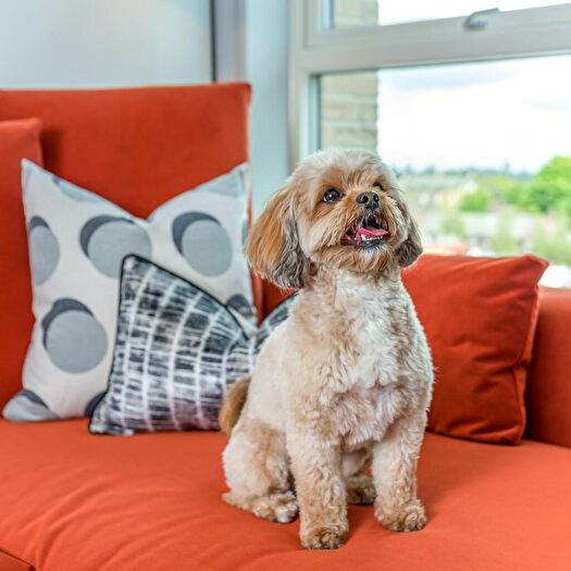 2 Bedroom Apartment To Rent In Sopwith Avenue, London, E17