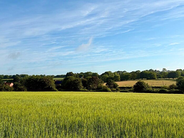 Farm Land For Sale In Arable And Grazing, Wissett (Lot ), Mill Road, Wissett, Halesworth, Suffolk, IP19