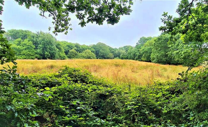 Land For Sale In Sheepwash, Beaworthy, EX21