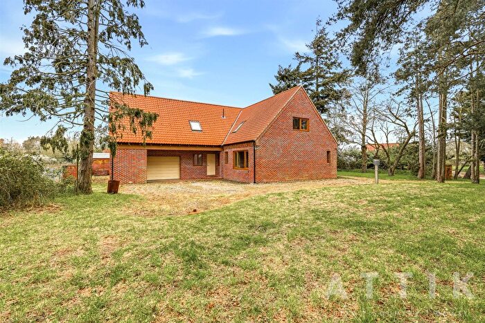 4 Bedroom Detached House For Sale In Elsing Road, Lyng, Norwich, NR9