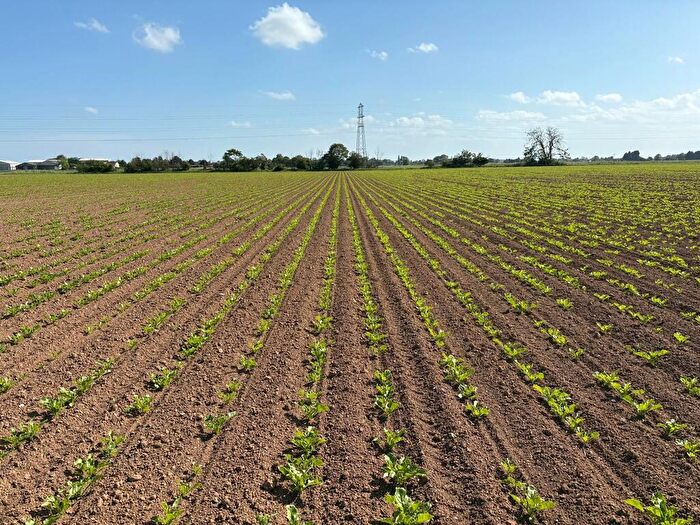 Farm Land For Sale In Arable Land In And Around Frampton Fen, Boston, PE20
