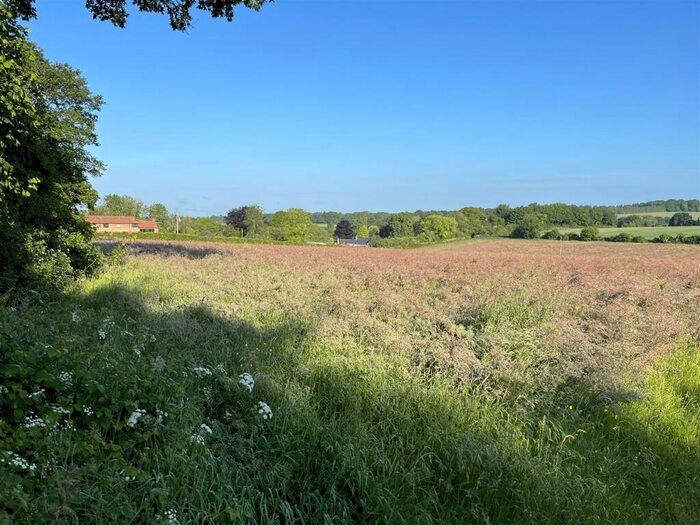 Land For Sale In Land At West End Lane, Medstead, Hampshire, GU34