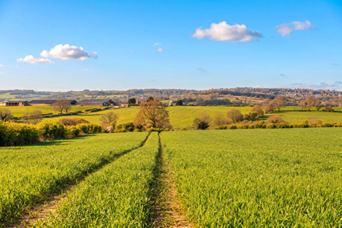 Land For Sale In Pasture Land At Pentrich, Ripley, Derbyshire, DE5