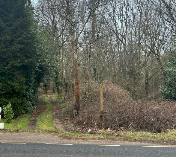 Land For Sale In Land At Horsham Road, Grafham, GU5