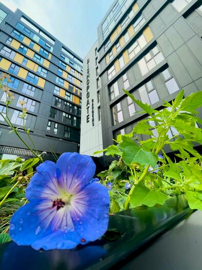 2 Bedroom Flat To Rent In Bishopgate Gardens, Bishopgate, Preston, PR1