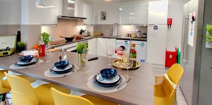 1 Bedroom Flat To Rent In Albert St, Shieldfield, Newcastle Upon Tyne 2DL, United Kingdom, Newcastle Upon Tyne NE1