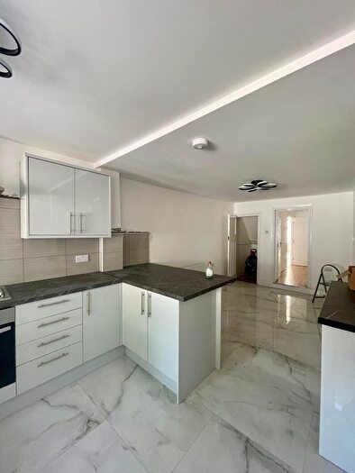 3 Bedroom Terraced House To Rent In Ashlin Road, London, E15