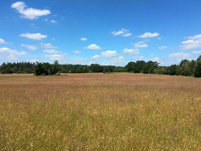 Land For Sale In Land At Frilford Heath, OX13