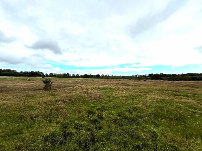 Land For Sale In Foxbury Road, St. Leonards, Ringwood, Dorset, BH24