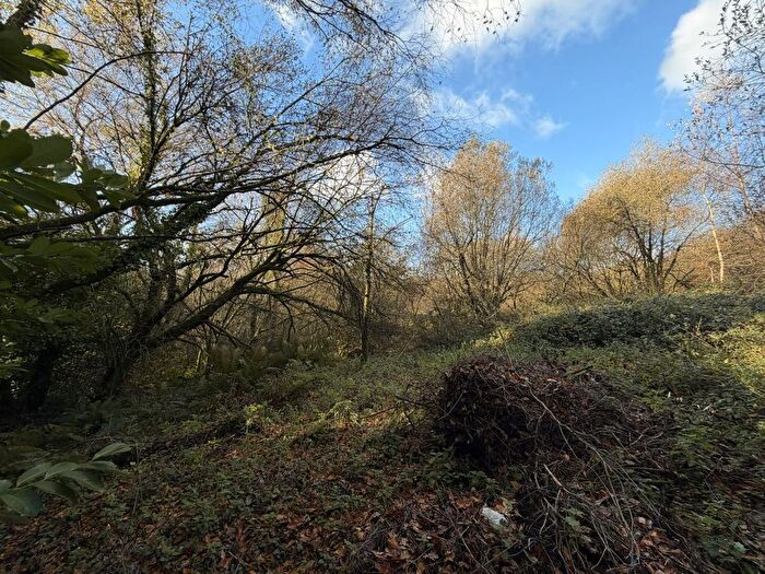 Land For Sale In Land, Snodwell Post Lane, Cotleigh, Honiton, Devon, EX14