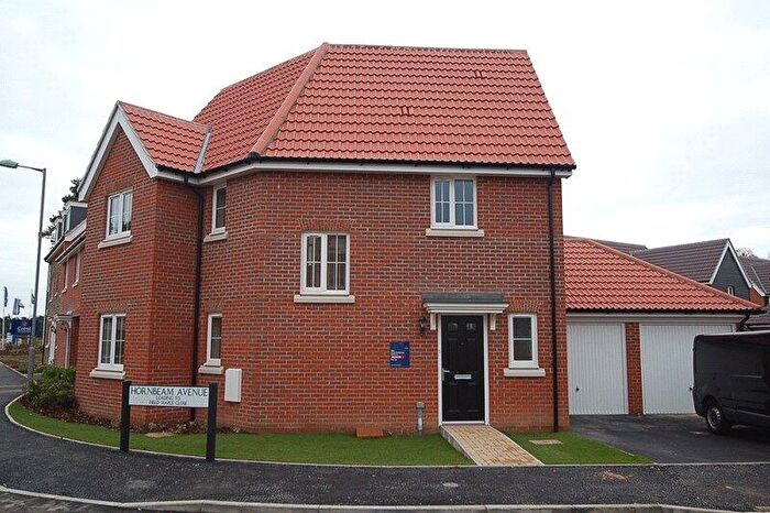 3 Bedroom Semi-Detached House To Rent In Larch Way, Red Lodge, Suffolk, IP28