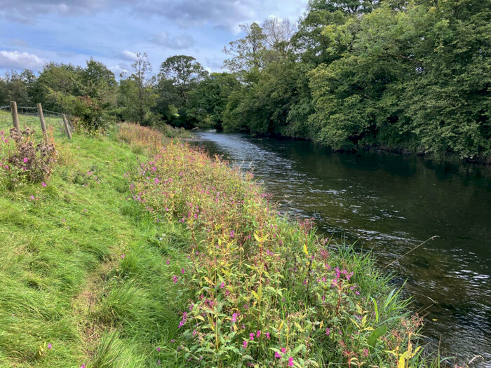 Land For Sale In Fishing Rights On The River Cocker, CA13