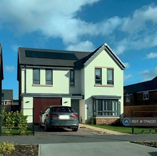 4 Bedroom Detached House To Rent In Waverley Walk, Waverley, Rotherham, S60