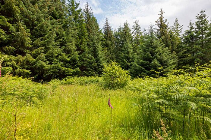 Land For Sale In Struy, Beauly, Highland, IV4