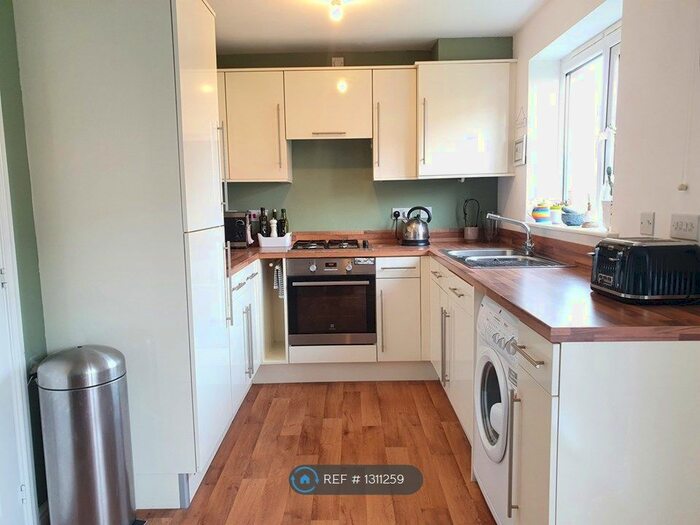 3 Bedroom Semi-Detached House To Rent In Scholars Rise, Middlesbrough, TS4