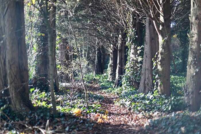 Land For Sale In Sparrey Drive, Birmingham, B30