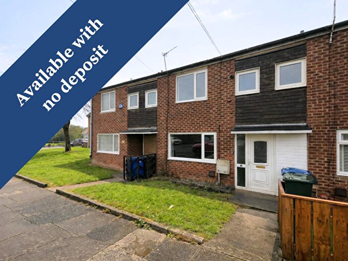 3 Bedroom Terraced House To Rent In Hedgehope Road, Newcastle Upon Tyne, NE5