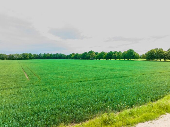 Land For Sale In East Heckington, Boston, PE20