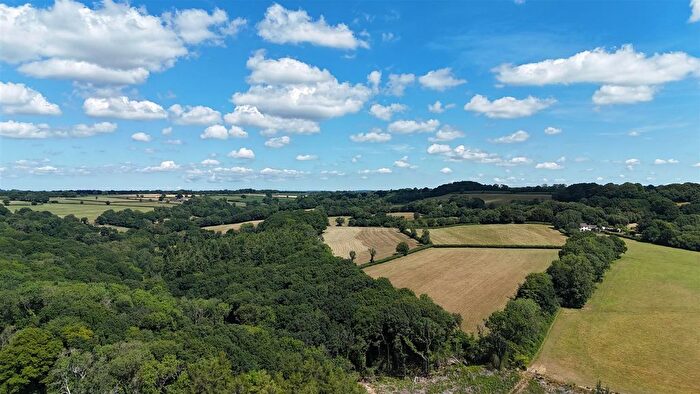 Land For Sale In Snodwell Woods, Cotleigh, Honiton, EX14