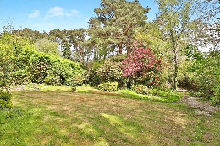 Land For Sale In Land, Ashley Heath, Ringwood, Dorset, BH24
