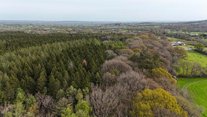 Land For Sale In Woodland At Minterne Magna, Minterne Magna, Dorchester, DT9