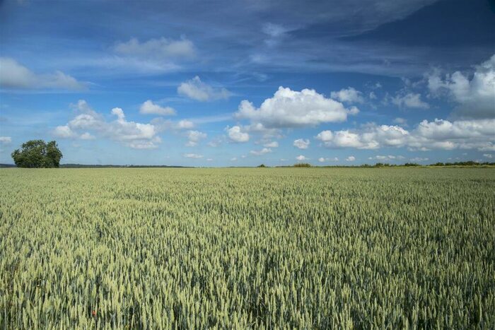 Land For Sale In Tarrant Rushton, Blandford Forum, DT11