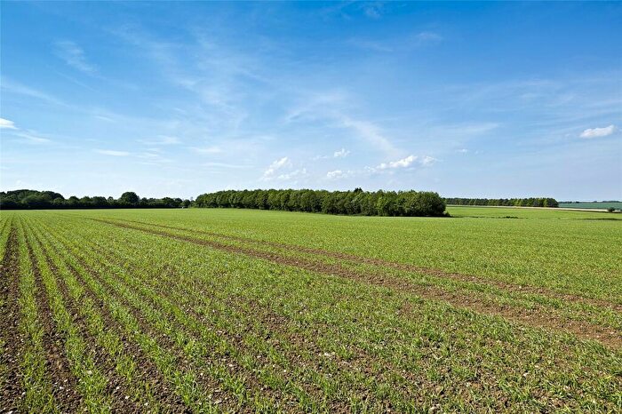 Land For Sale In Land At Ashley, Dalham Road, Ashley, Newmarket, CB8