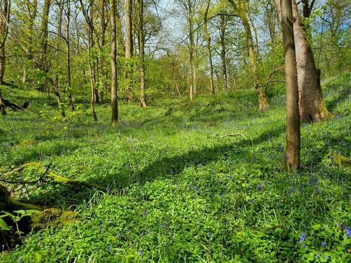 Land For Sale In Lot : Gospel Farm, Bramley Lane, Hassop, Bakewell, DE45