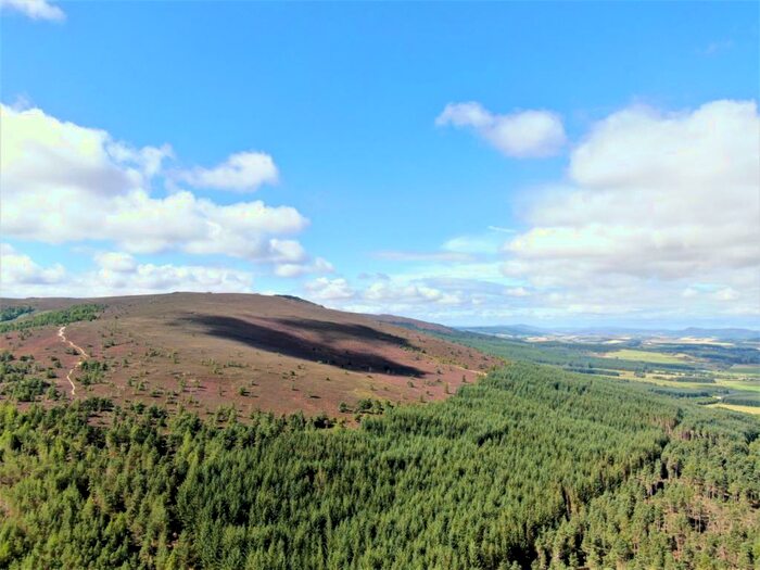 Land For Sale In Lot : Pittodrie Estate, Chapel Of Garioch, Inverurie, Aberdeenshire, AB51